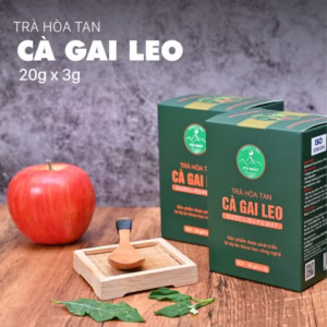 Cà Gai Leo